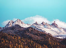 乐鱼app-变革中的申花正在续航 “免签11人行动”获巨大成功